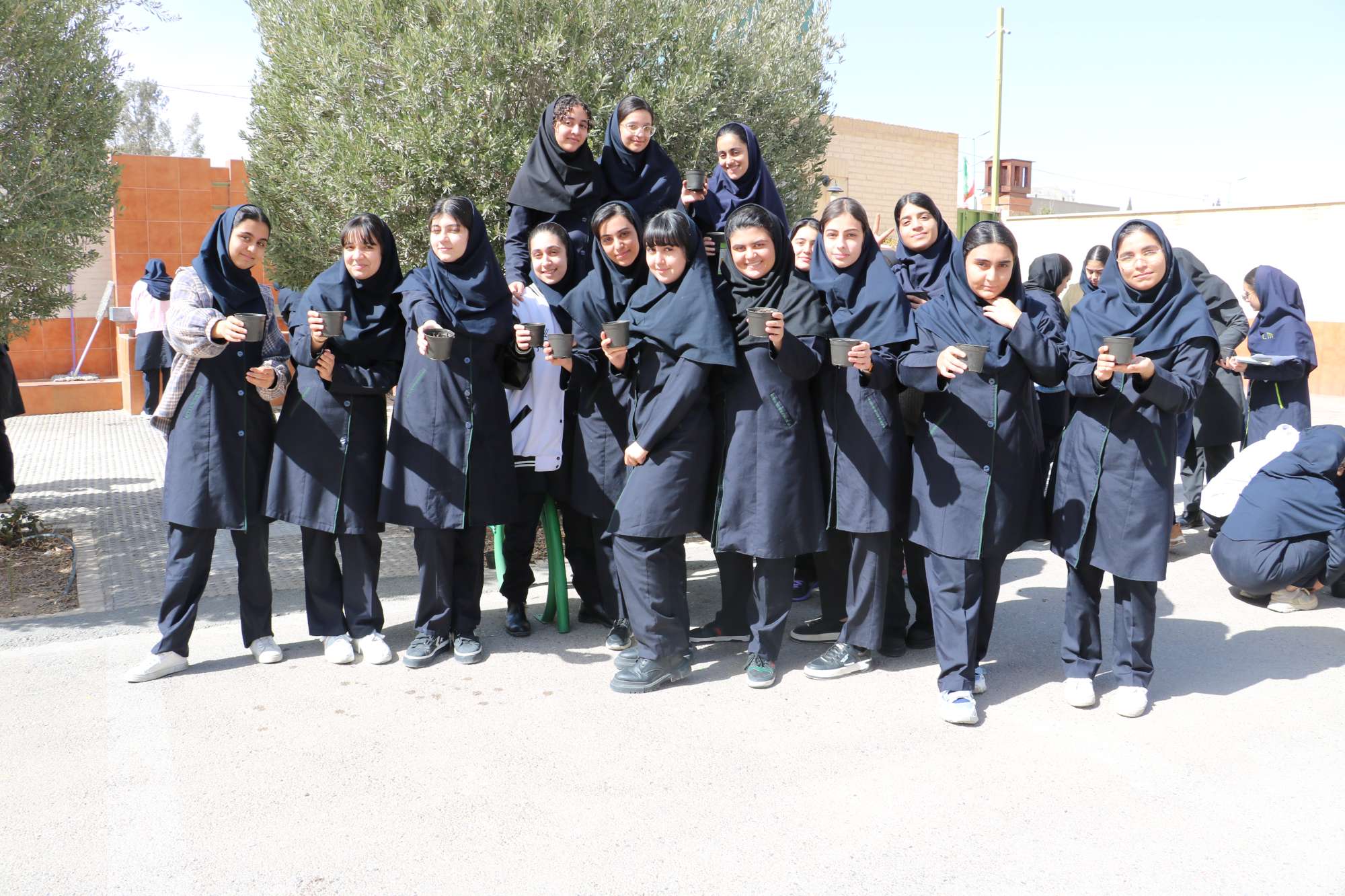 پویش مهربانی سبزه ی نوروزی