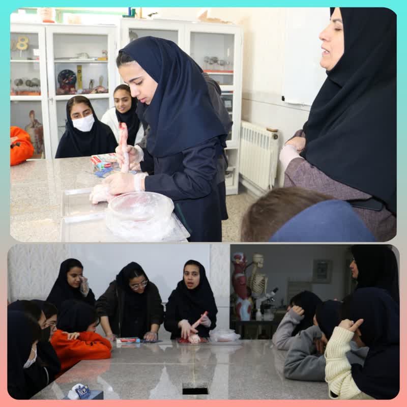 تشریح قلب و شش توسط دانش آموزان پایه دهم تجربی